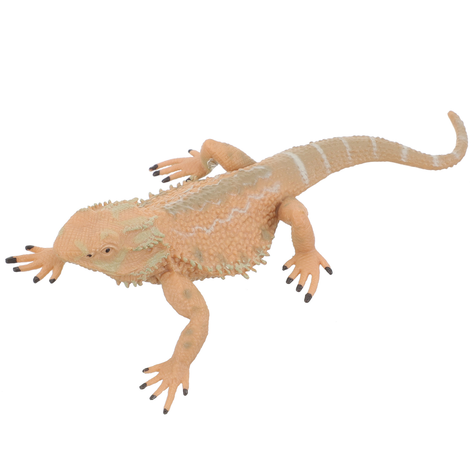 Kids Education Desk - Bearded Dragon Reptile Decoration Realistic Lightweight