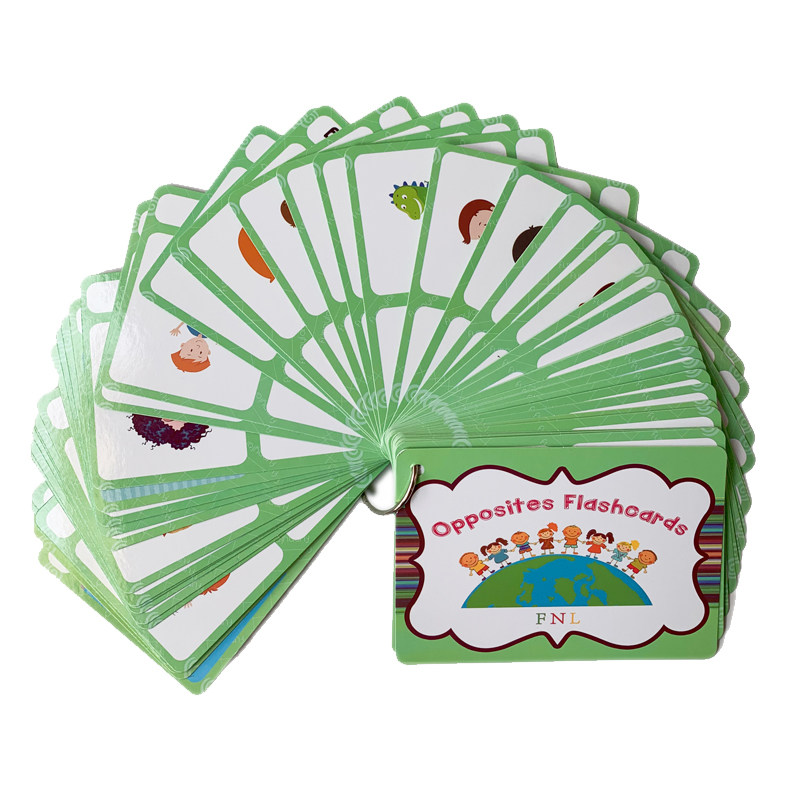 The 100 Groups Opposites Flash - đánh giá và giá Kids Education Toy