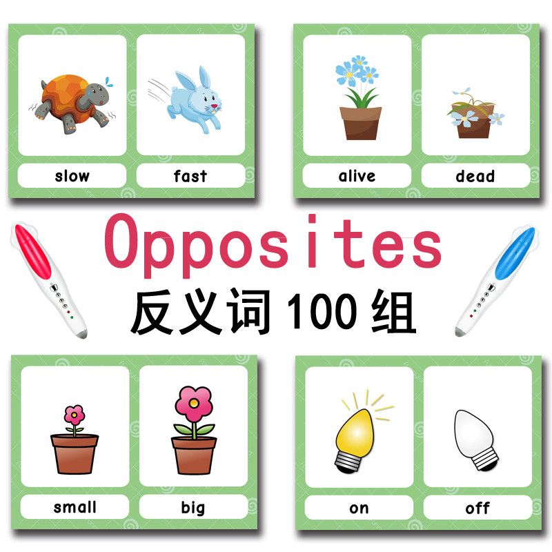 The 100 Groups Opposites Flash - đánh giá và giá Kids Education Toy