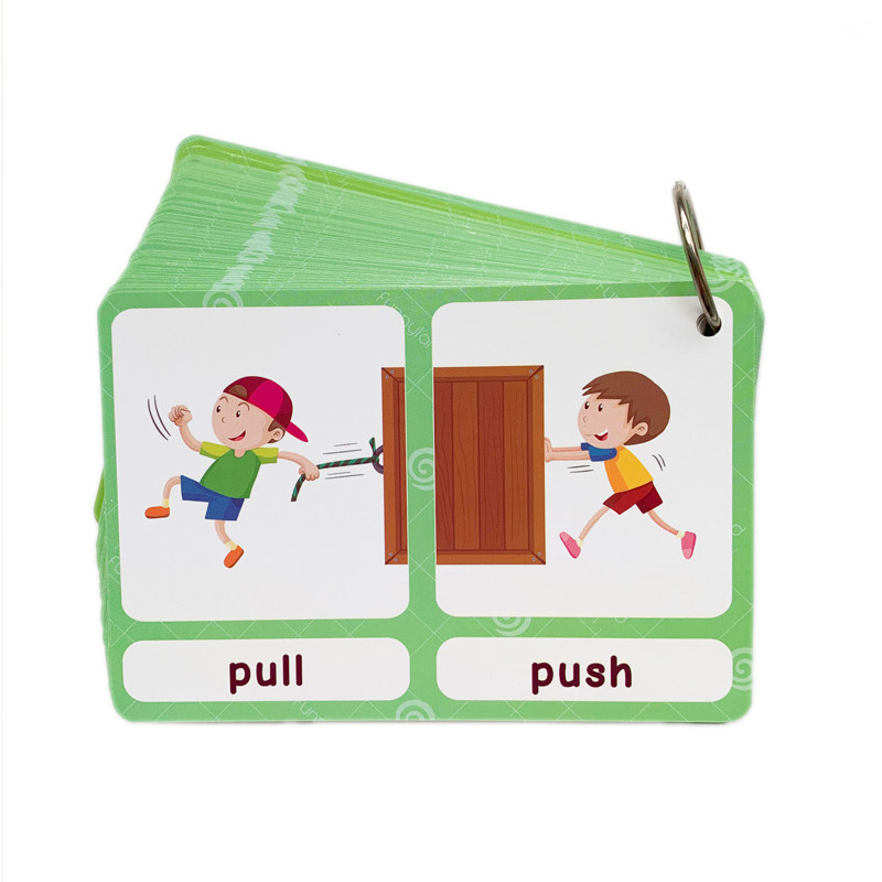 The 100 Groups Opposites Flash - đánh giá và giá Kids Education Toy