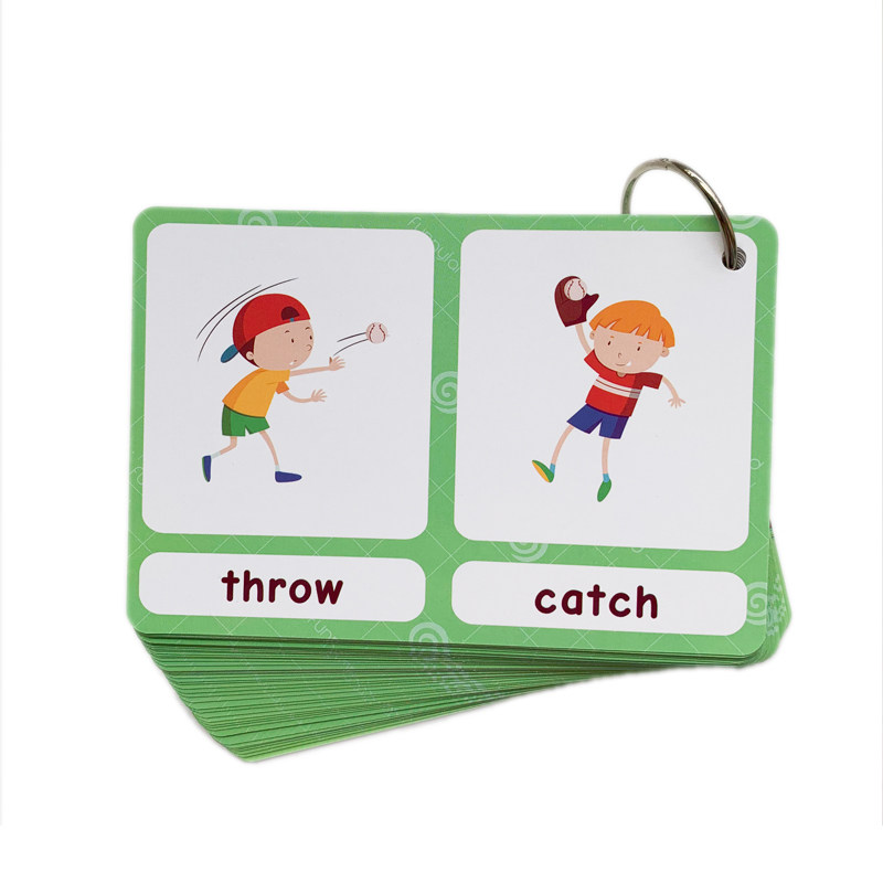 The 100 Groups Opposites Flash - đánh giá và giá Kids Education Toy