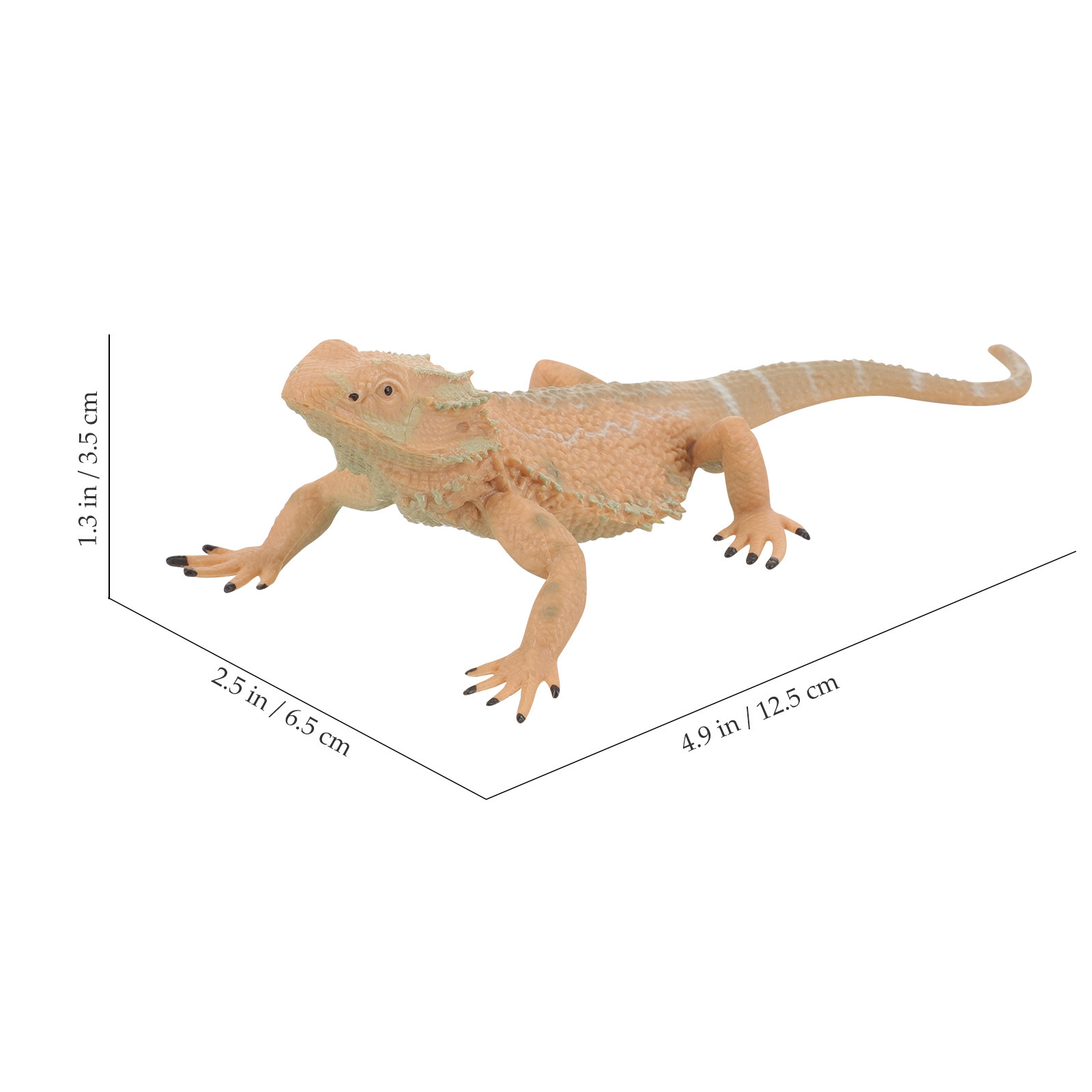Bearded Dragon Reptile Decorat - đánh giá và giá Kids Education Desk