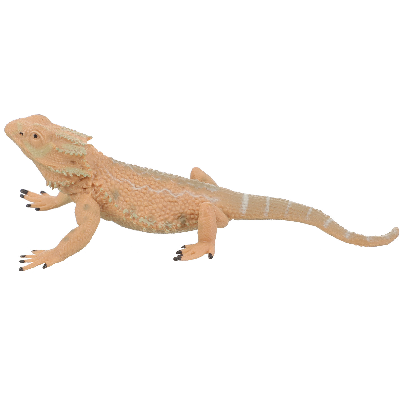Bearded Dragon Reptile Decorat - đánh giá và giá Kids Education Desk