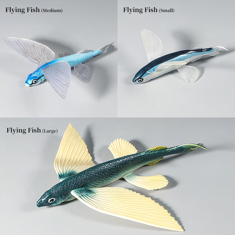 Ocean Marine Animal Underwater - đánh giá và giá Kids Education World