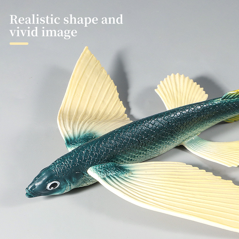 Ocean Marine Animal Underwater - đánh giá và giá Kids Education World