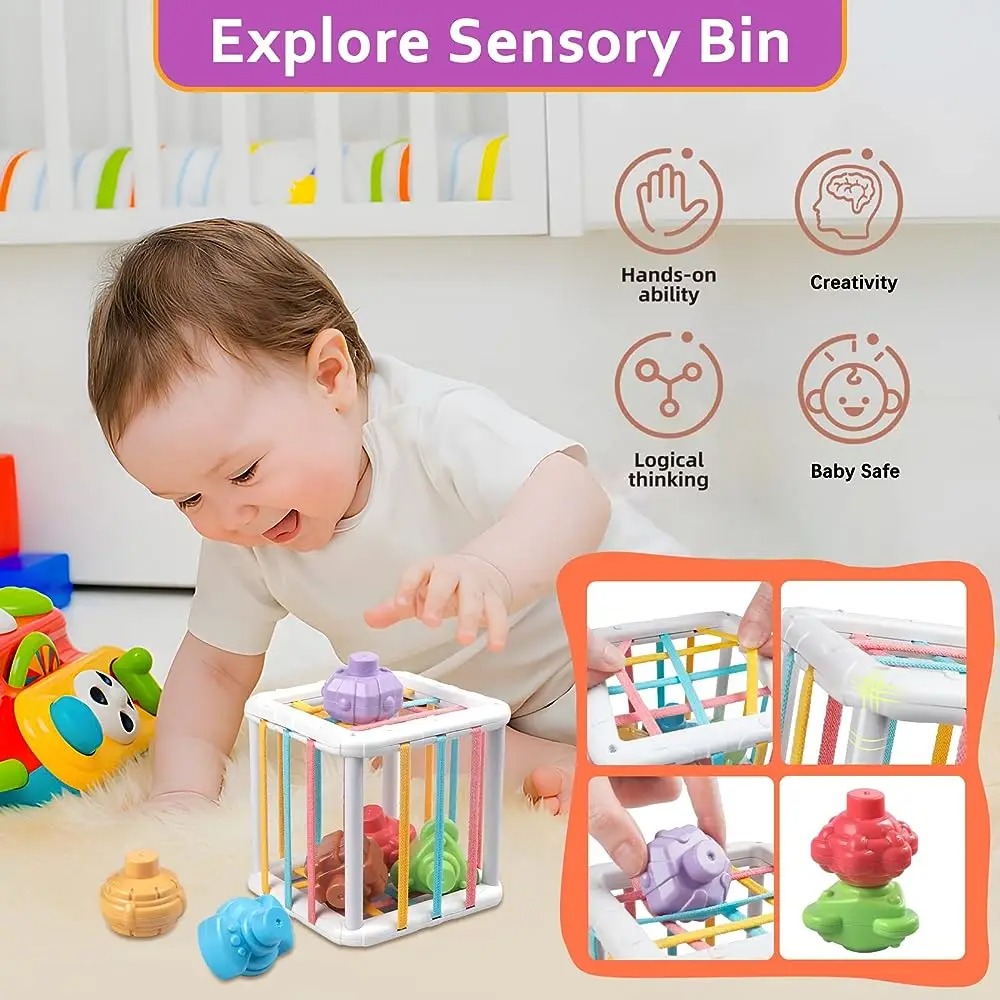 Rainbow Colorful Montessori Sh - đánh giá và giá Kids Education Toy