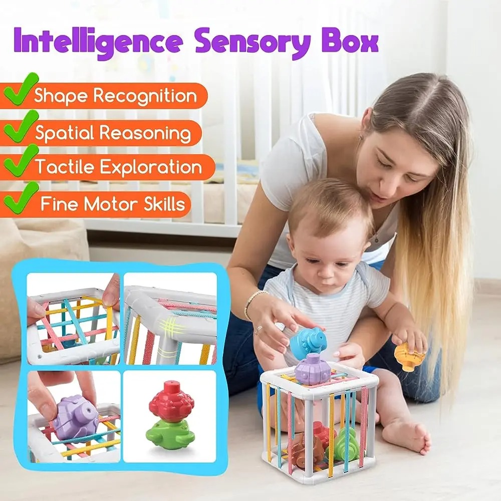 Rainbow Colorful Montessori Sh - đánh giá và giá Kids Education Toy