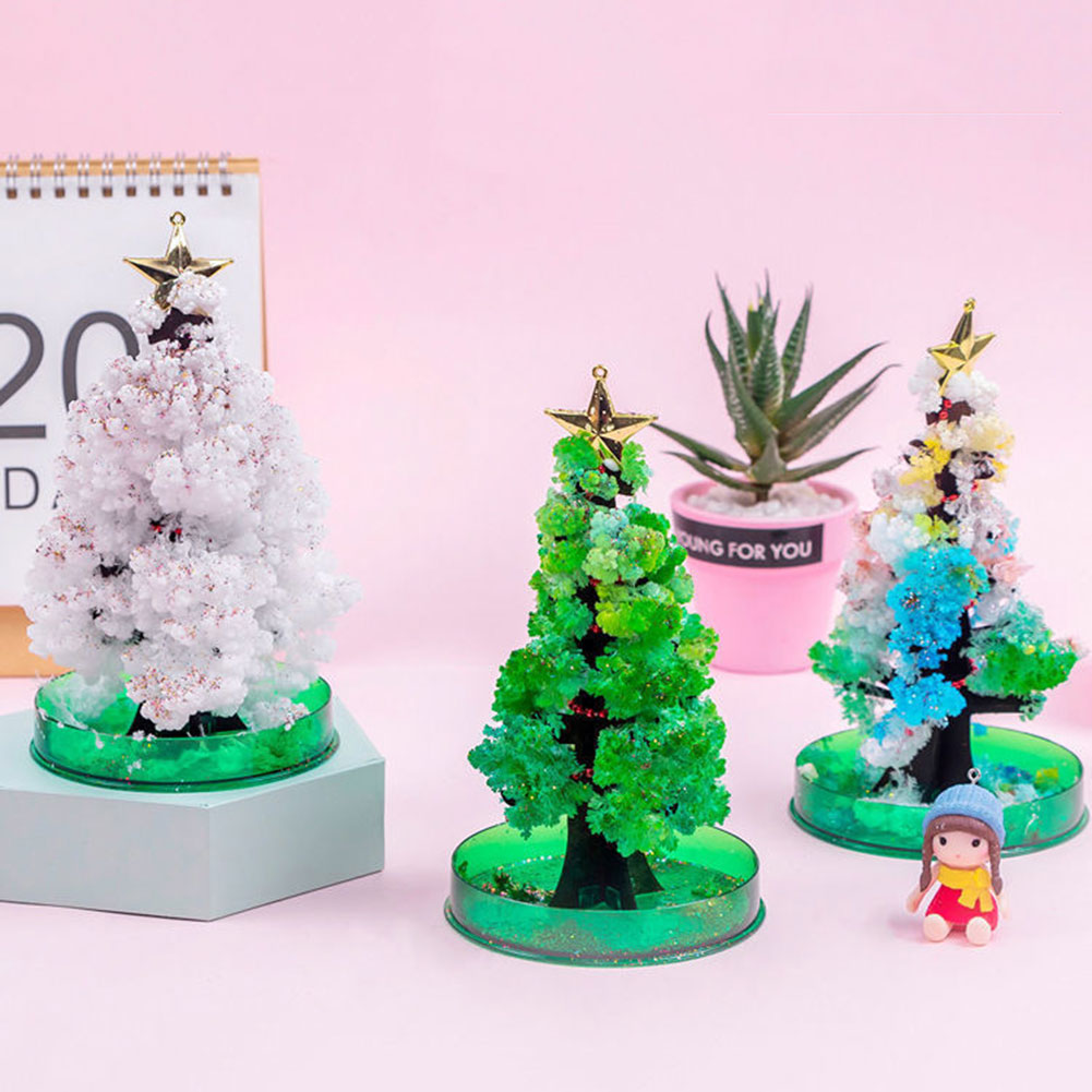 Magics Growing Xmas Tree Kit F - đánh giá và giá Kids Education Desk