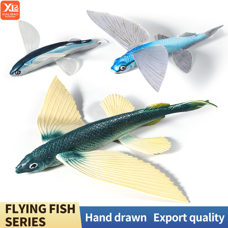 Ocean Marine Animal Underwater - đánh giá và giá Kids Education World