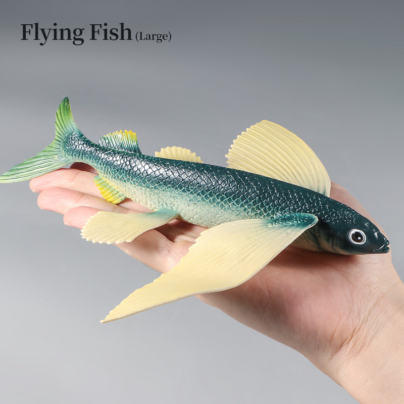 Ocean Marine Animal Underwater - đánh giá và giá Kids Education World