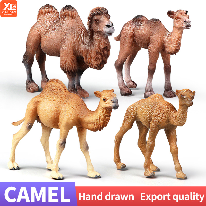 New Wildlife World Solid Simul - đánh giá và giá Kids Education World