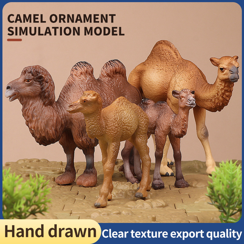 New Wildlife World Solid Simul - đánh giá và giá Kids Education World